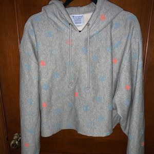 Champion Cropped Sweatshirt.